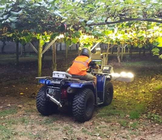 Meet Fruitometry - the Kiwi AI imaging startup helping NZ grow better kiwifruit 2